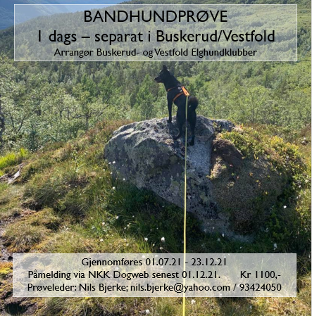 Jaktprøver Bandhund