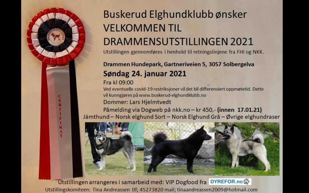 Drammensutstillingen 2021