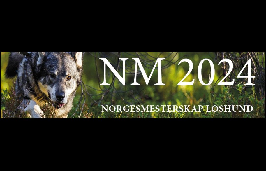 Invitasjon uttaksprøve NM løshund 2024