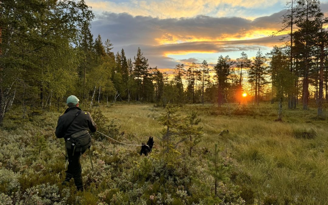 Resultater bandhundprøver 01.07 – 31.08.24