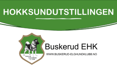 Hokksundutstillingen 2025 – Kataloger