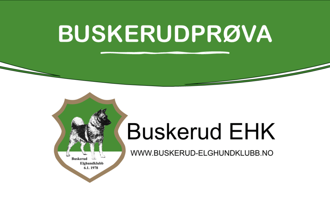 Resultater Buskerudprøva 2025