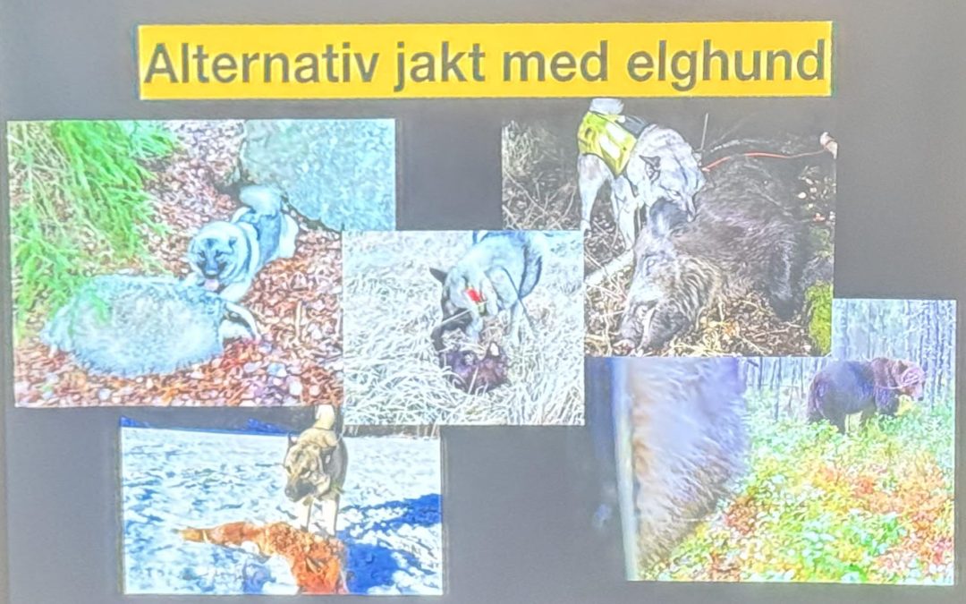 Referat fra medlemskveld med Martin Brenne
