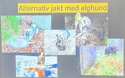 Referat fra medlemskveld med Martin Brenne